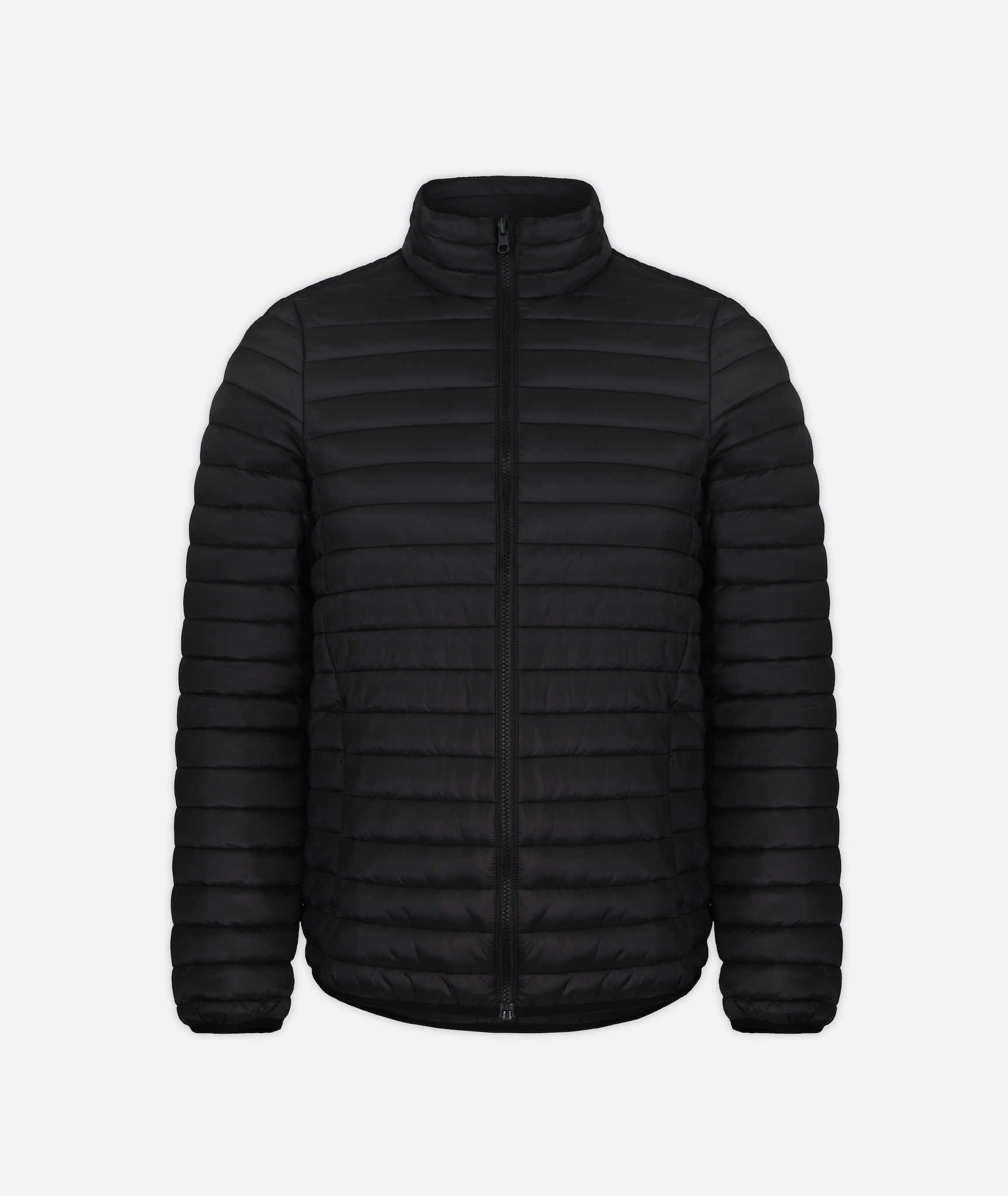 a black puffer jacket insert on a white background