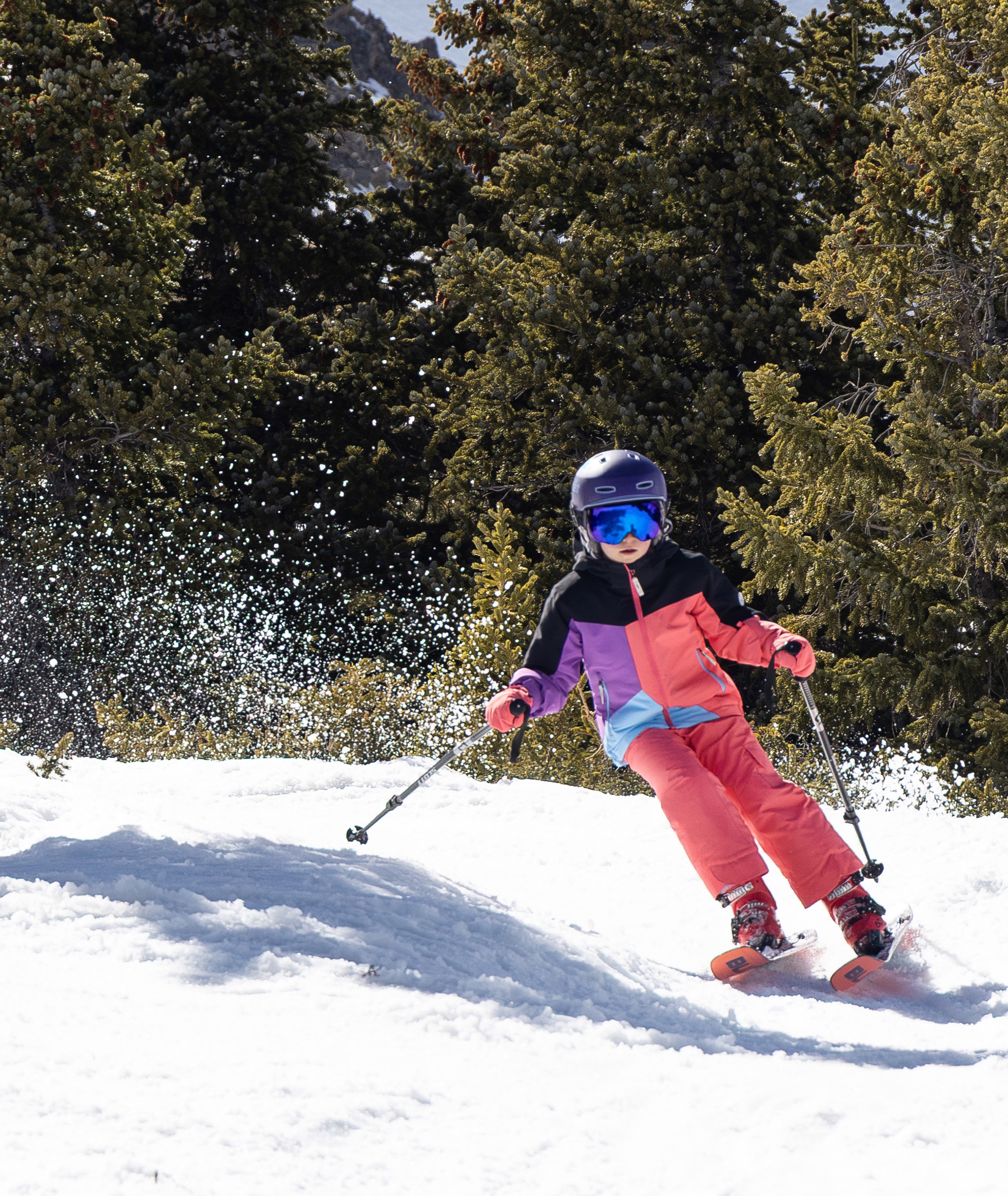 a child skiing down a snowy tree lined path wearing a multi colored black, pink, purple and blue jacket with pink pants.